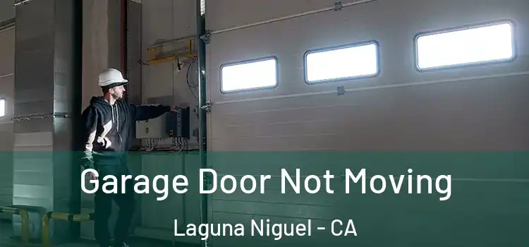  Garage Door Not Moving Laguna Niguel - CA